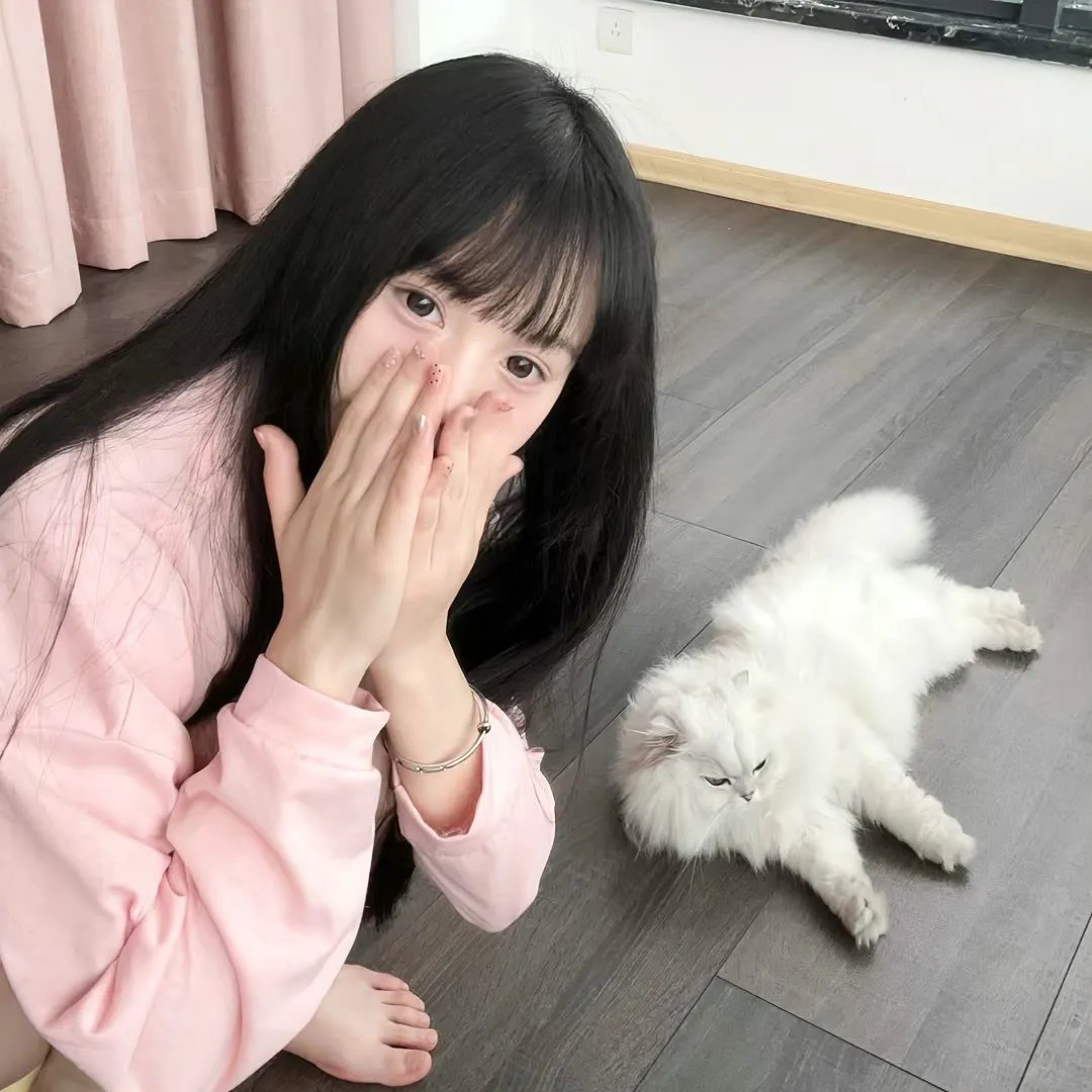 钢琴之森