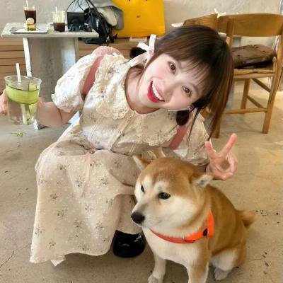 颠倒的魔法